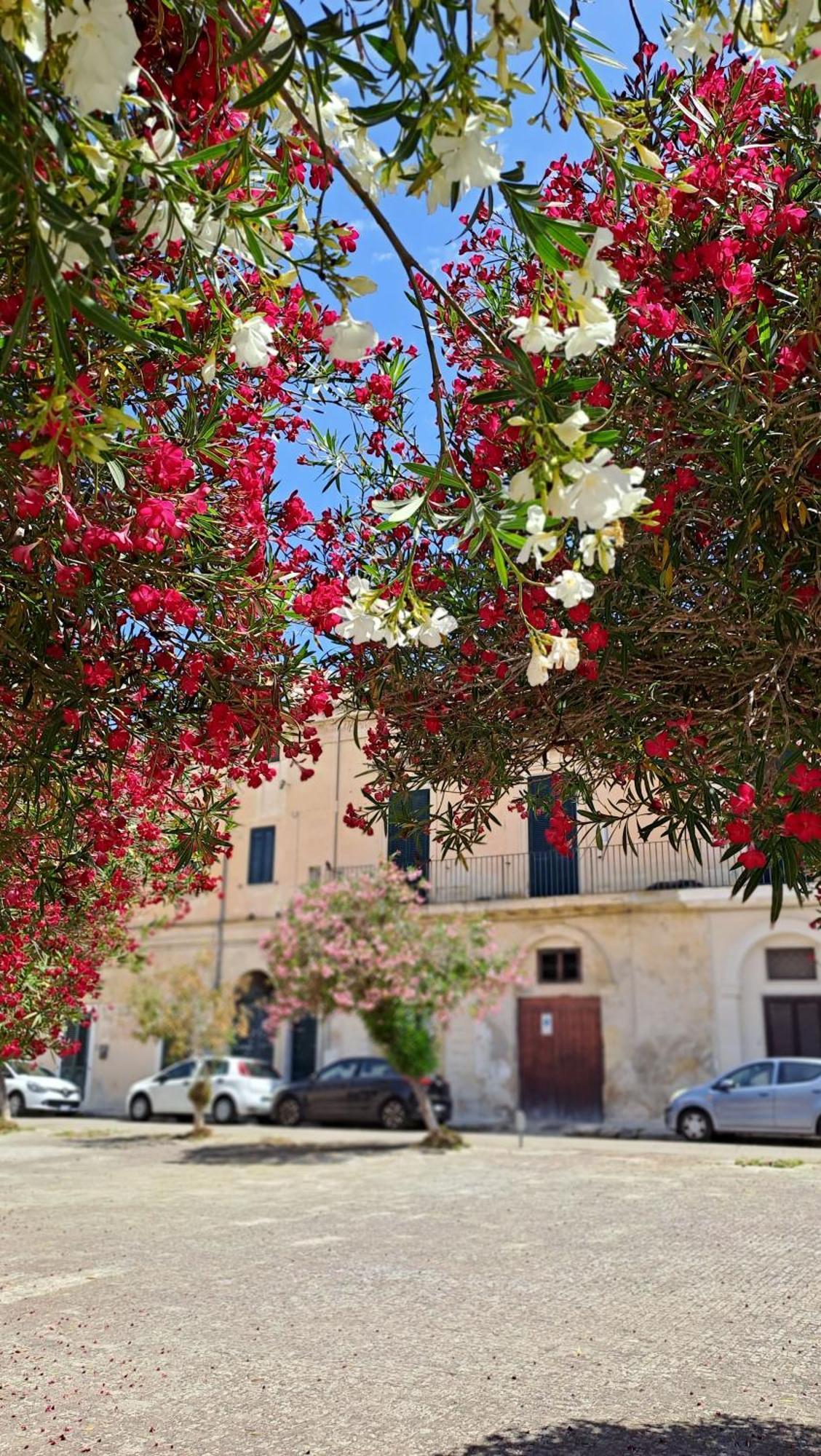 Mayu'S House , Dimora Nel Centro Storico Di Lecce Exterior foto